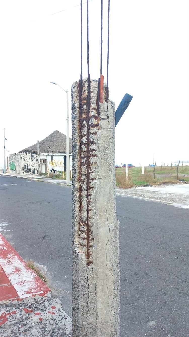 Temen por su seguridad por lote baldío abandonado en Boca del Río