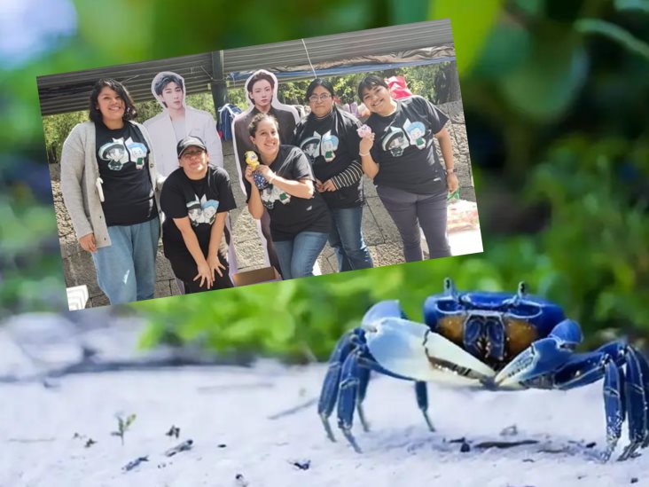 La banda BTS inspira en Veracruz el rescate del cangrejo azul