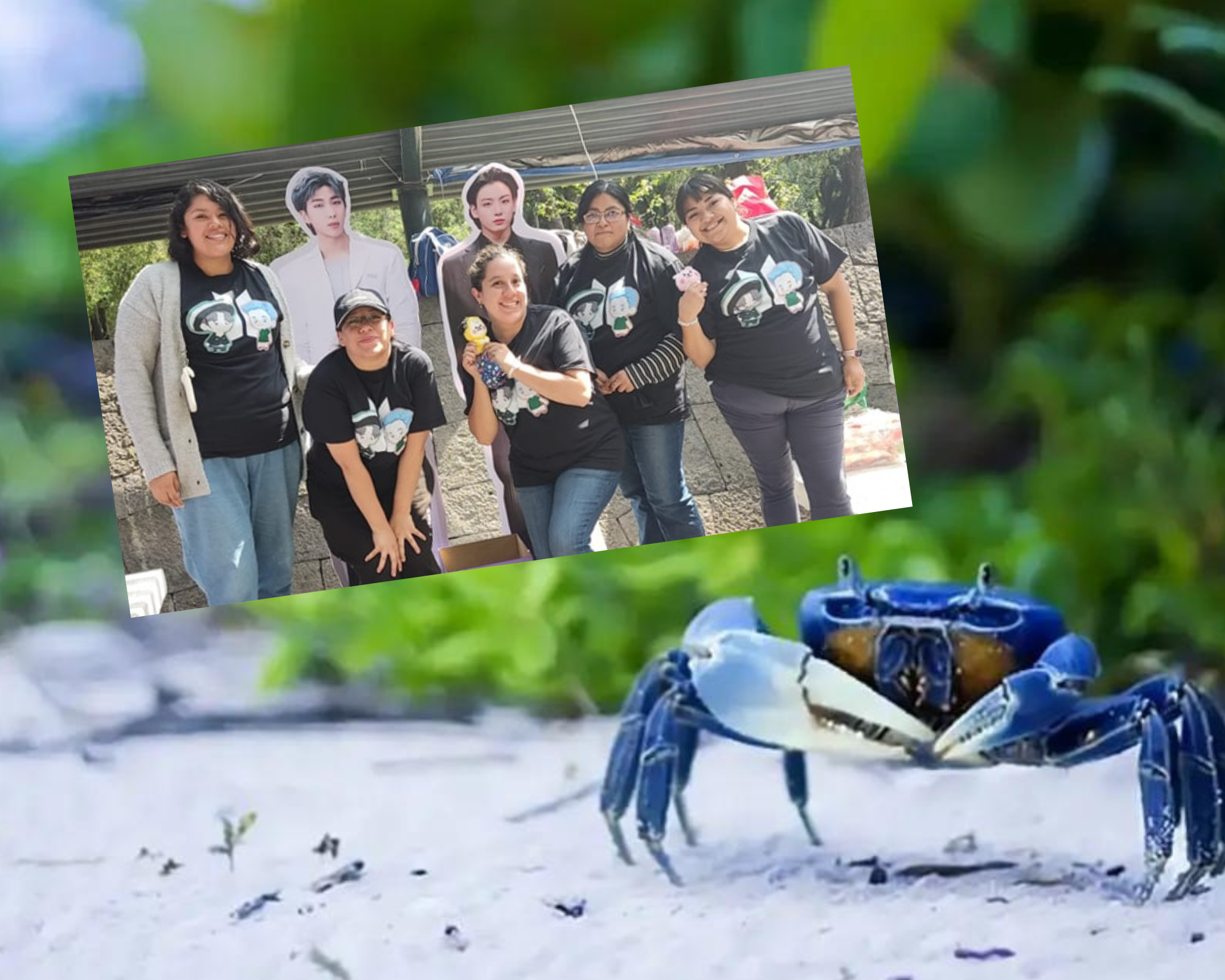 La banda BTS inspira en Veracruz el rescate del cangrejo azul