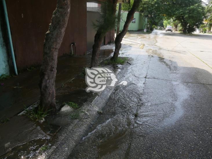 Fugas de agua, calles cerradas y hundimiento de losas, por toda la colonia Petrolera en Coatza