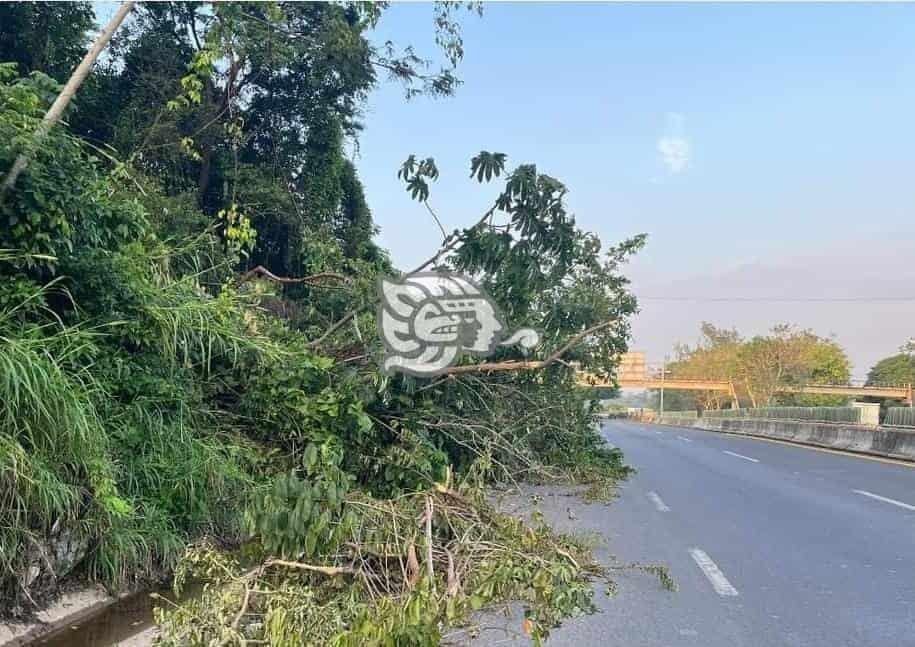 Desgajamiento de cerro afecta autopista Nuevo Teapa-Cosoleacaque