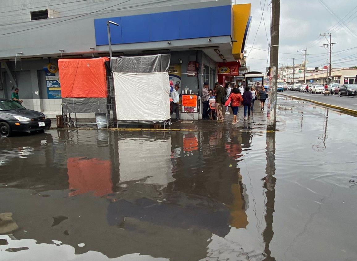 Lluvia provoca fuga de aguas negras en la zona de mercados en Veracruz (+Video)