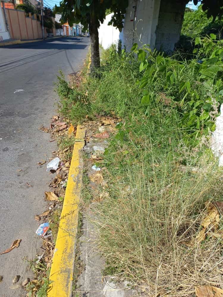 Vecinos urgen atender terreno deteriorado en fraccionamiento de Boca del Río