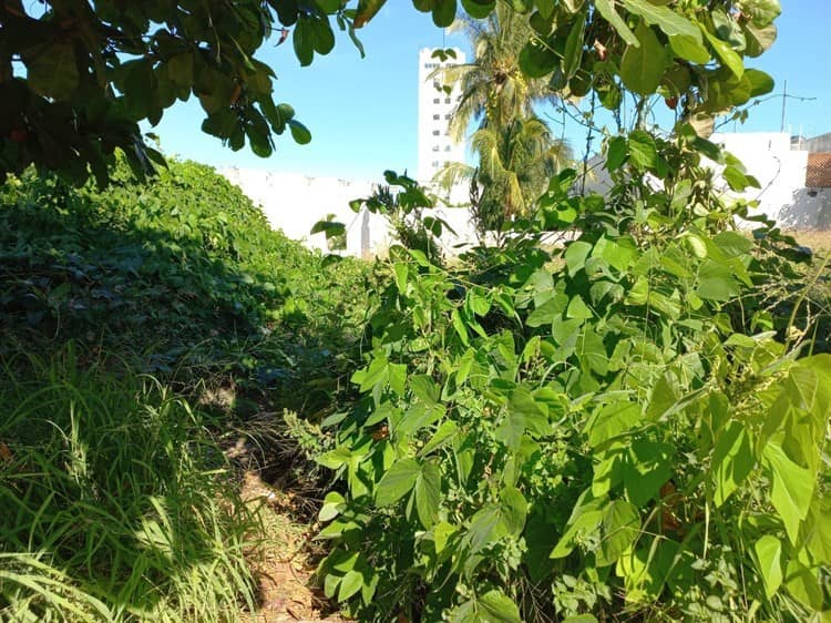 Vecinos urgen atender terreno deteriorado en fraccionamiento de Boca del Río