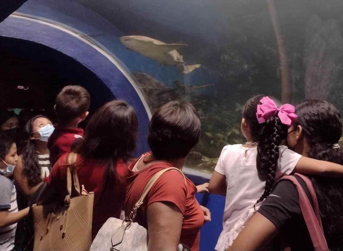 Abarrotan el Aquarium de Veracruz en otro martes de acceso gratuito