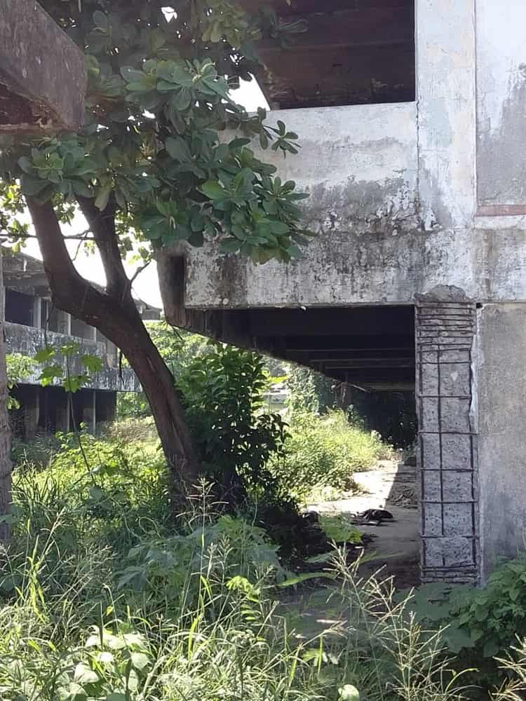 Escuela abandonada en Veracruz genera inseguridad a vecinos