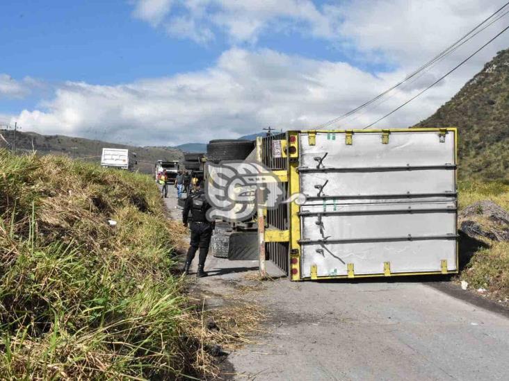 Vuelca tráiler en autopista Orizaba-Puebla, en Nogales (+Video)