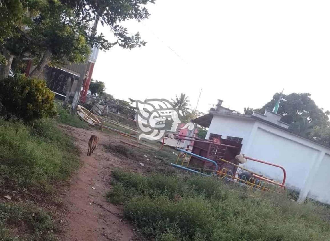 Quitan juegos infantiles para un baile en la Cruz del Milagro