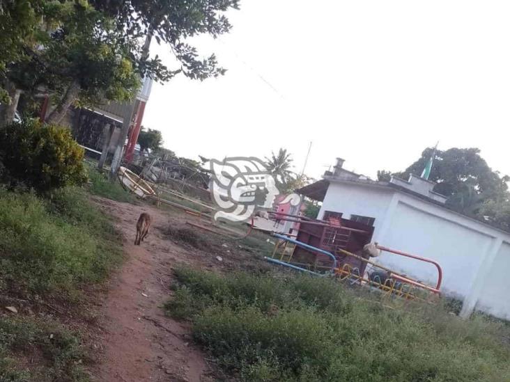 Quitan juegos infantiles para un baile en la Cruz del Milagro, en Sayula de Alemán