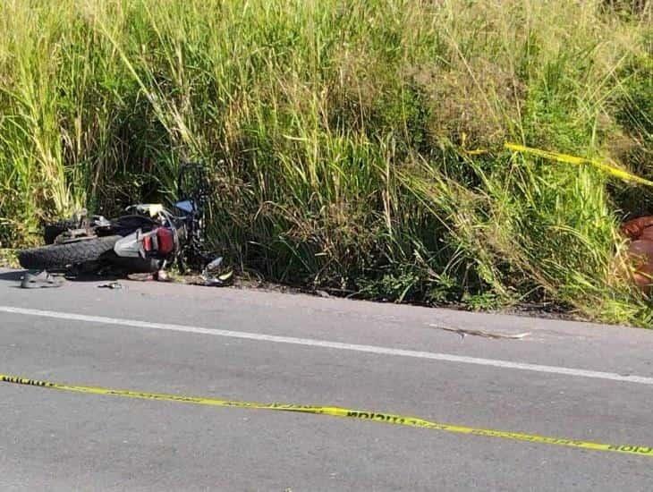 Pierde la vida al chocar contra una vaca en Alvarado