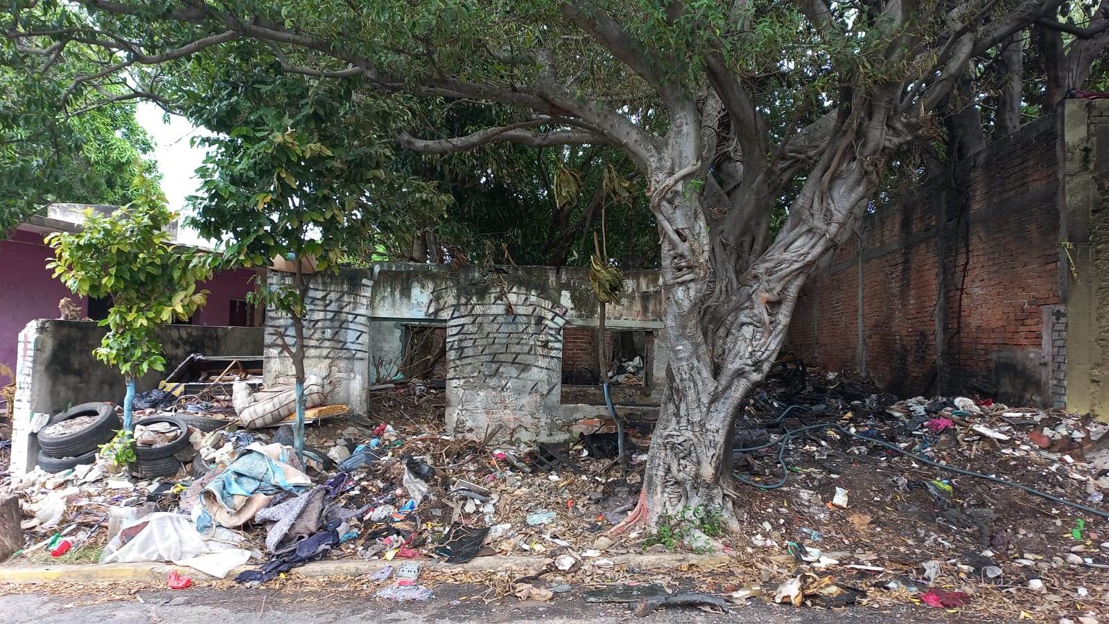 Terrenos baldíos en Veracruz son un peligro y focos de infección (+Video)