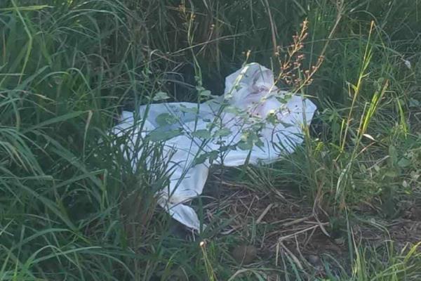 Pierde la vida al ser atropellada por un auto fantasma en Pachuquilla, Veracruz