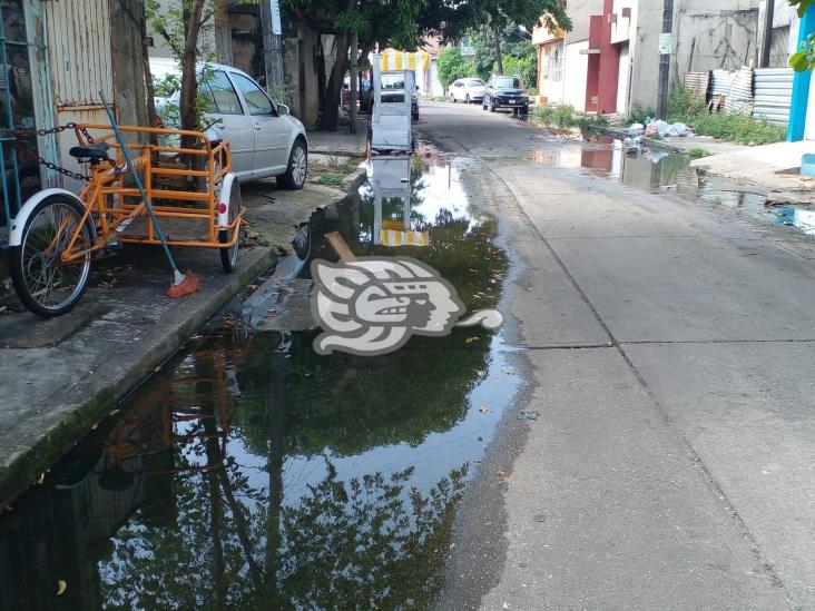 Llevan meses con aguas negras en la calle Xicoténcatl(+Video)