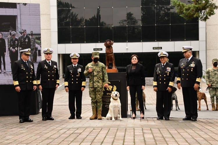 Fallece Frida, perrita héroe en rescates en sismos de 2017 en México