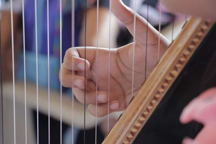 Mateo, niño arpista con ceguera, prodigio de la música(+Video)