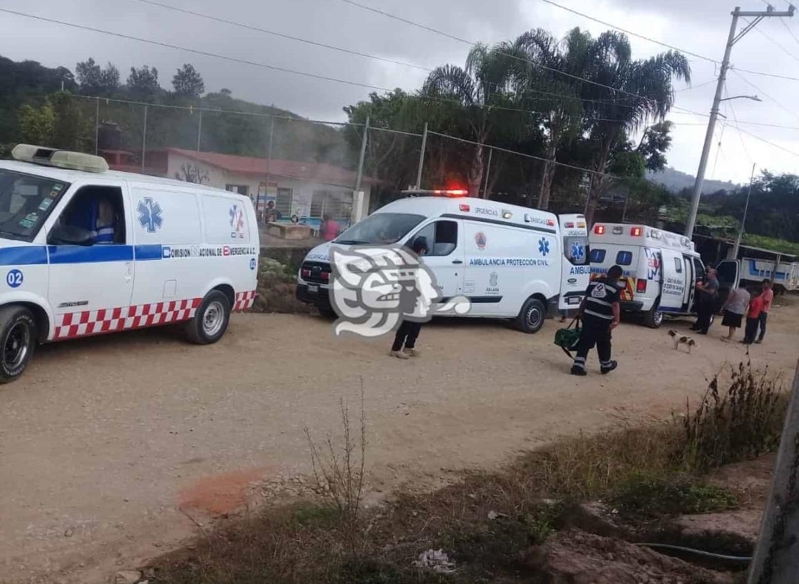 Abejas picaron a niños y adultos en Castillo Chico, en Xalapa