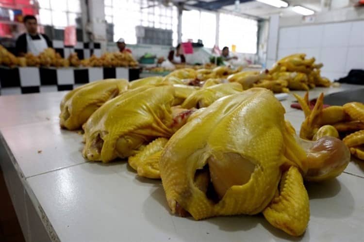 Comerciantes prevén que precio del pollo aumente en mercados de Veracruz por época decembrina