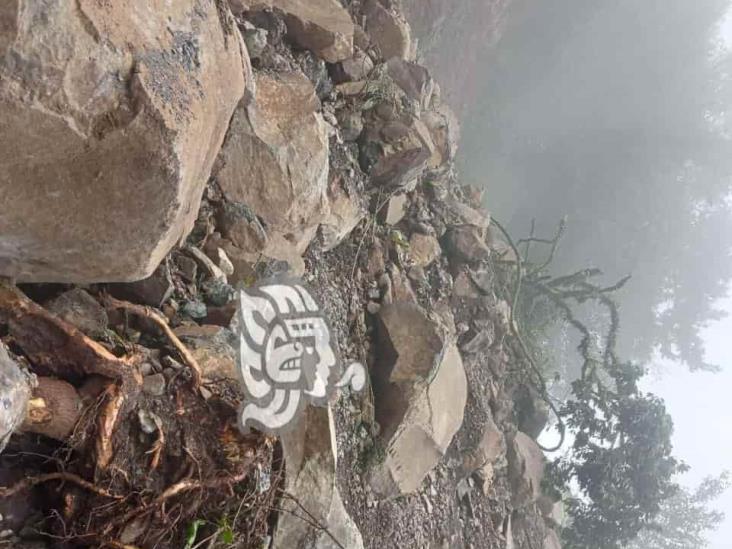 Incomunicadas, vías en Sierra de Misantla tras Frente Frío 9