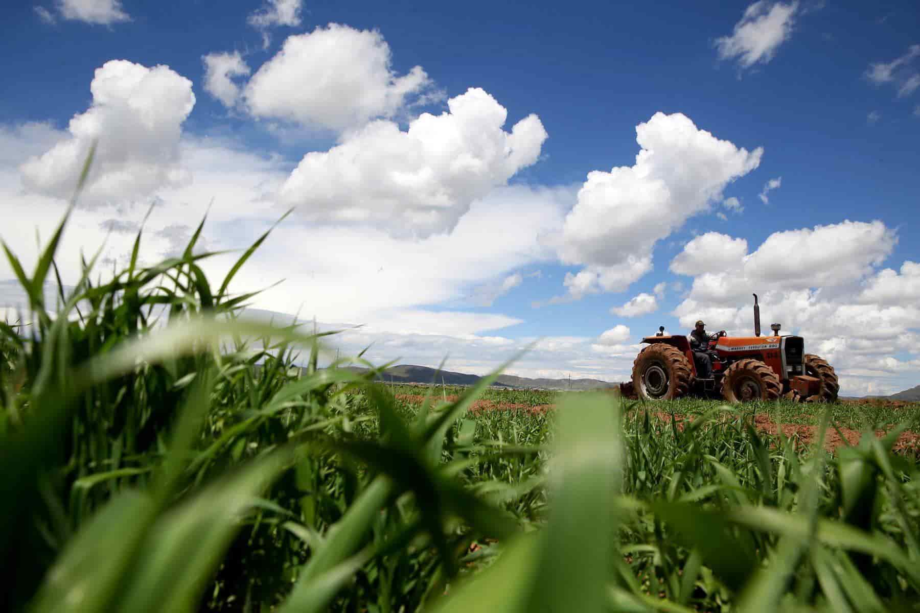 La industria agropecuaria se moderniza para exportar a USA