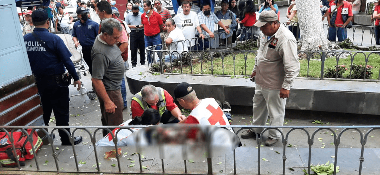 Trabajador cae de escalera mientras podaba los árboles en parque de San Andrés Tuxtla