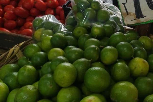 Se recupera exportación de limón persa veracruzano