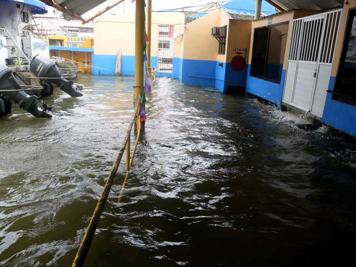 En Coatzacoalcos tira 3 árboles y un anuncio espectacular  el FF10 (+Video)