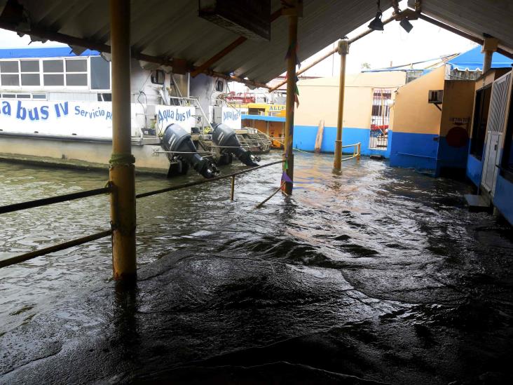 En Coatzacoalcos tira 3 árboles y un anuncio espectacular  el FF10 (+Video)