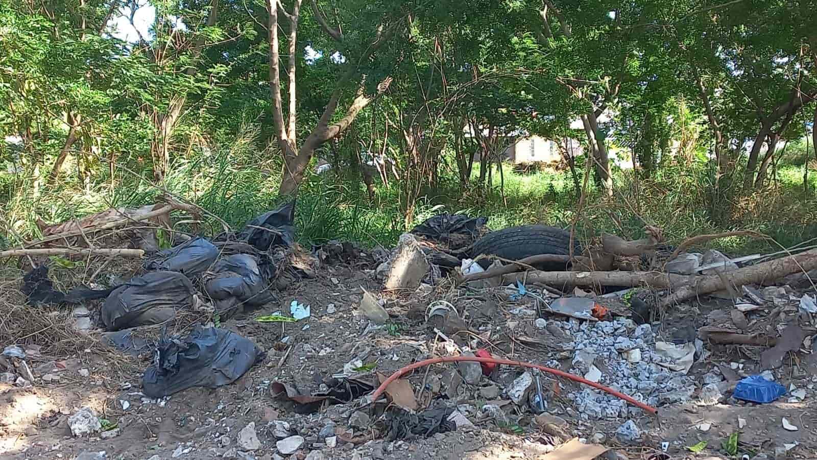 Denuncian ‘nido’ de delincuentes en lote baldío en El Floresta, Veracruz