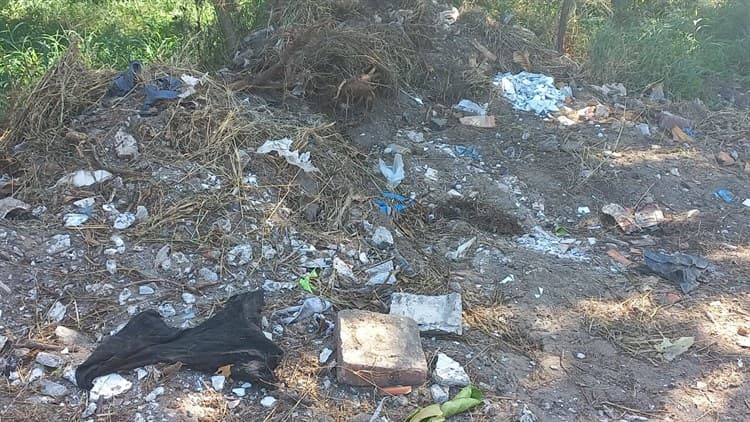 Denuncian ‘nido’ de delincuentes en lote baldío en El Floresta, Veracruz