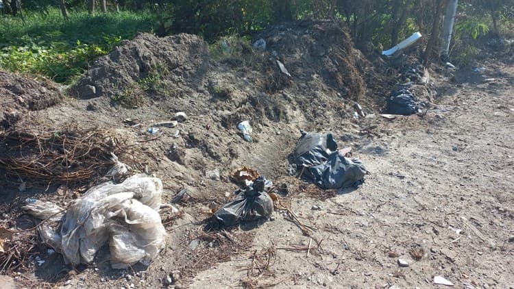 Denuncian ‘nido’ de delincuentes en lote baldío en El Floresta, Veracruz