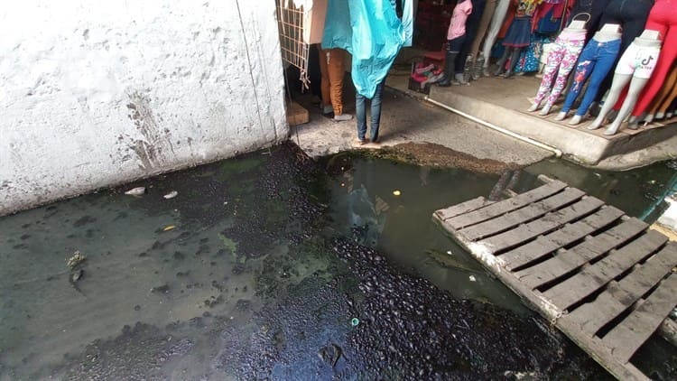 Se quejan por río pestilente en mercado de Veracruz