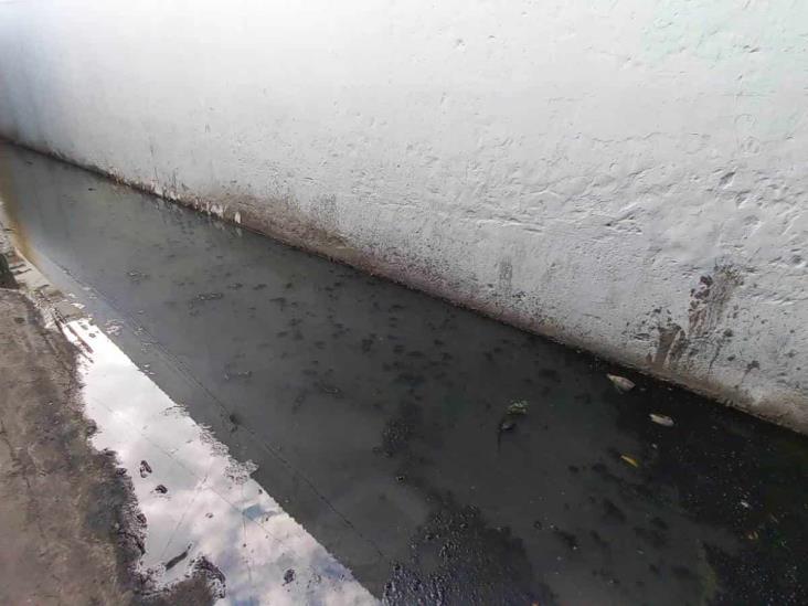 Se quejan por río pestilente en mercado de Veracruz