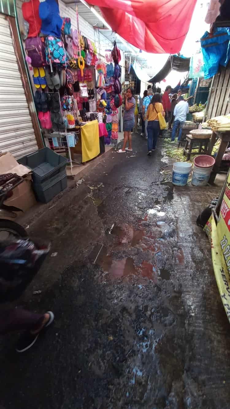 Se quejan por río pestilente en mercado de Veracruz