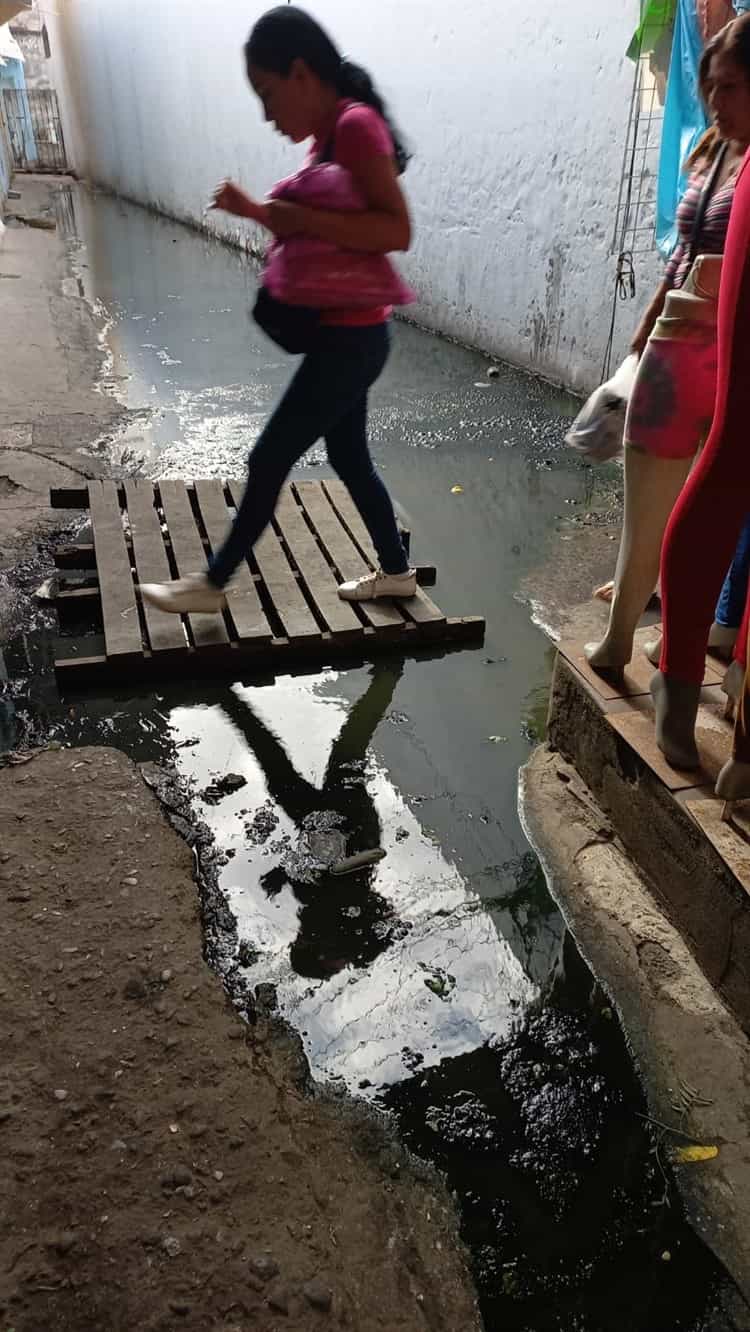 Se quejan por río pestilente en mercado de Veracruz