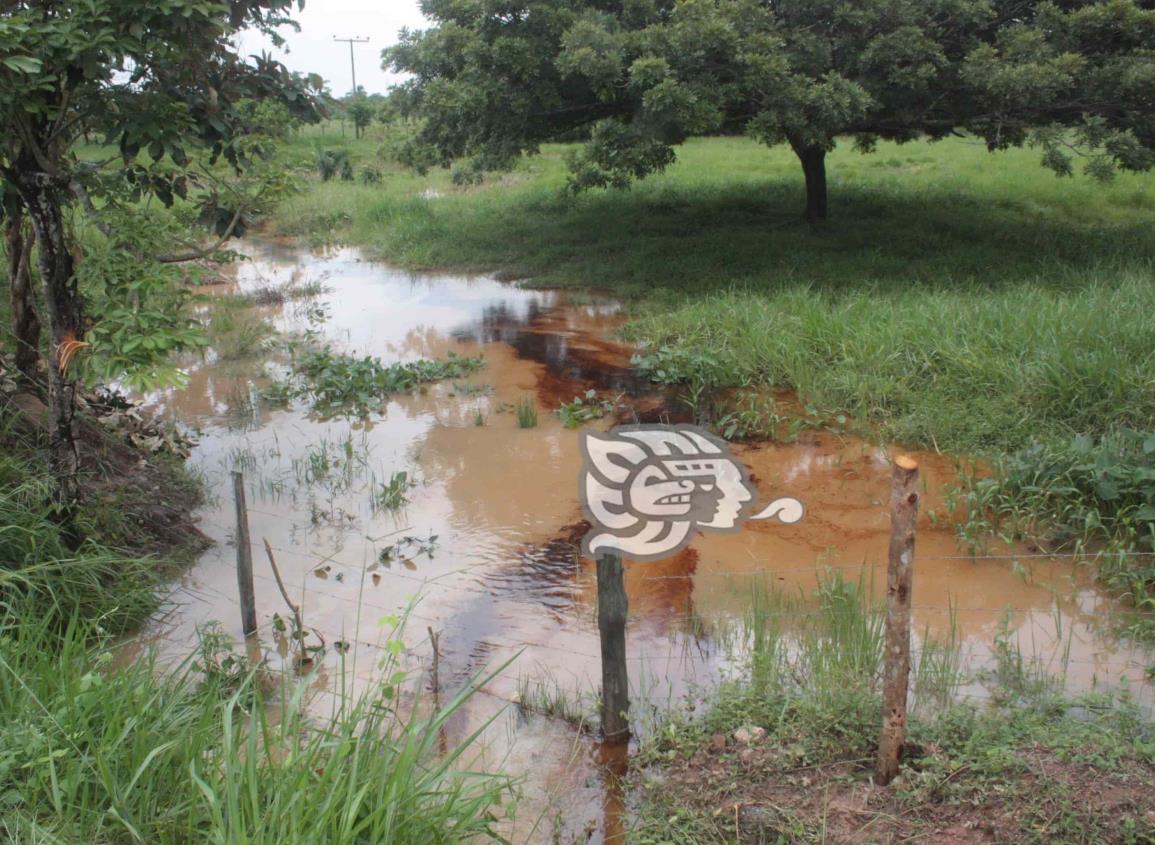 Arroyo El Control está contaminado con aceite