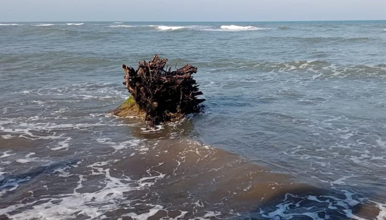 Marejada se llevó al menos una veintena de palapas en playas de Nautla