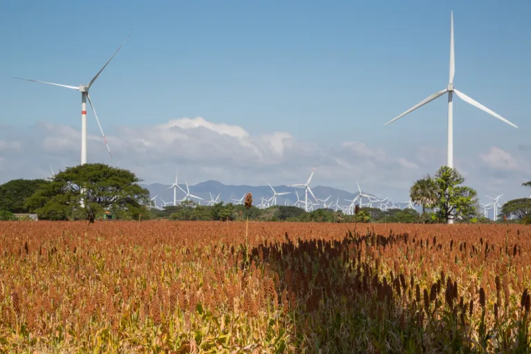 Energética española debe devolver sus tierras a comunidad indígena de Oaxaca