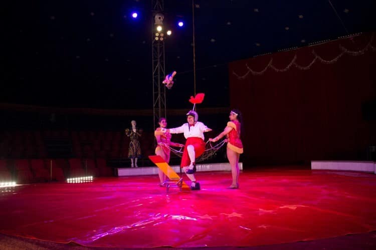 Parquín Jr, payaso con 35 años de carrera que desborda sonrisas con su show en circo Vie de Cirque