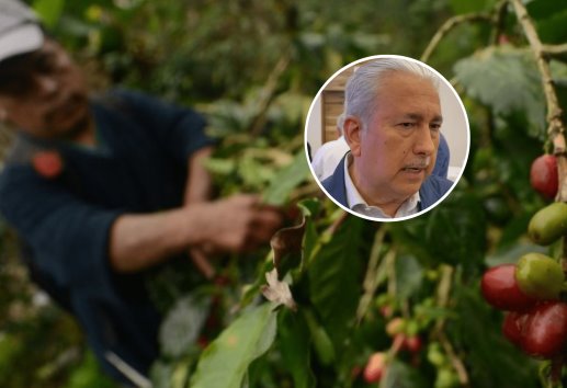 Fortaleciendo el mercado interno se blindará a México de factores internacionales: ANCER (+Video)