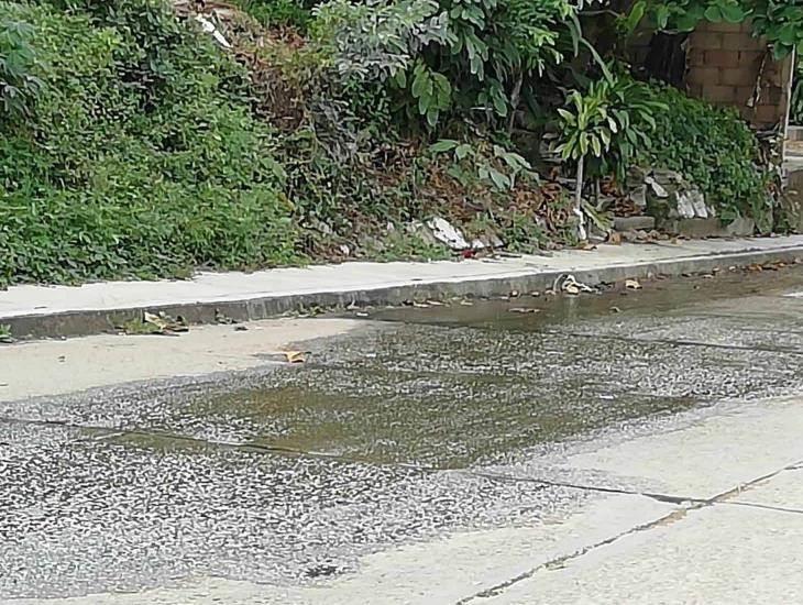 Denuncian fuga de agua en calle de Zaragoza