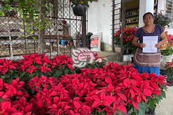 Acusan al área de comercio en Minatitlán de revender espacios para venta de flores