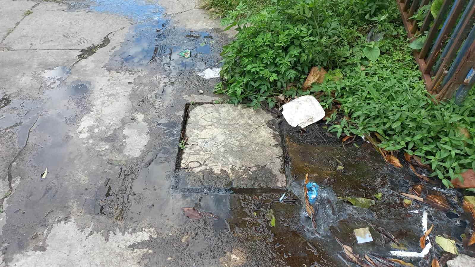 Brotes de aguas negras afecta a vecinos de la Pascual Ortiz Rubio en Veracruz