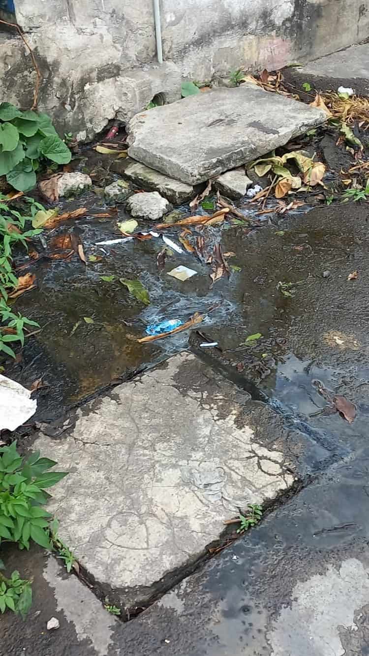 Brotes de aguas negras afecta a vecinos de la Pascual Ortiz Rubio en Veracruz