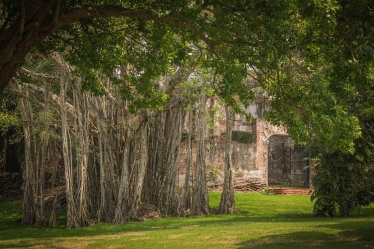 Ésta es la aterradora historia de la Condesa de Malibrán de Boca del Río