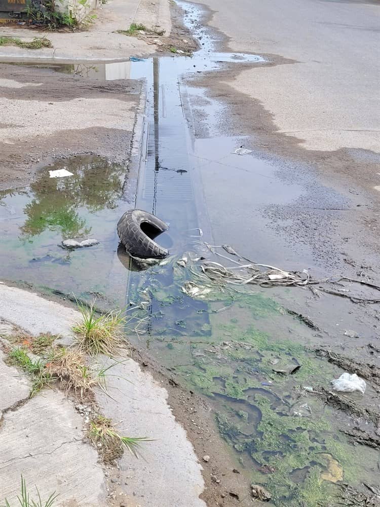 Aguas negras sigue invadiendo colonias de Veracruz, denuncian vecinos