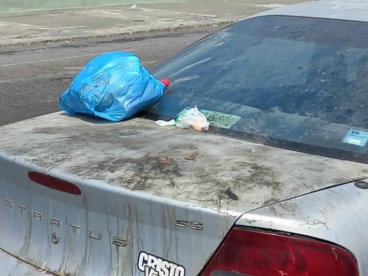 Auto “maceta” y calles en colonia de Veracruz son usadas como basurero