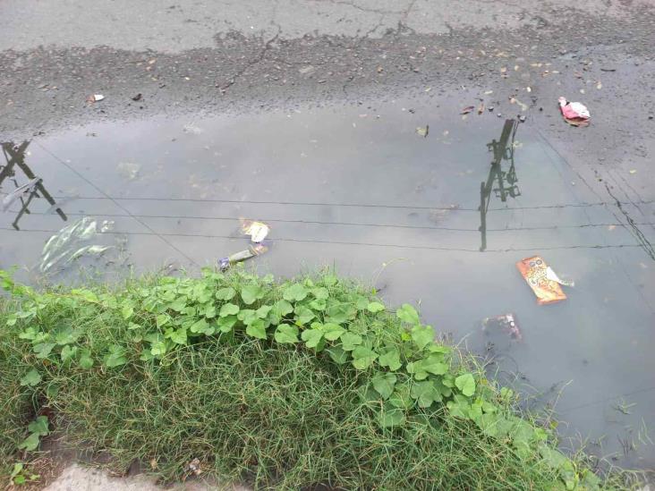 Afectan casas abandonadas y fugas de aguas negras en colonia de Boca del Río