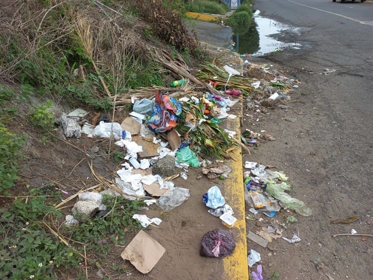 Afectan casas abandonadas y fugas de aguas negras en colonia de Boca del Río