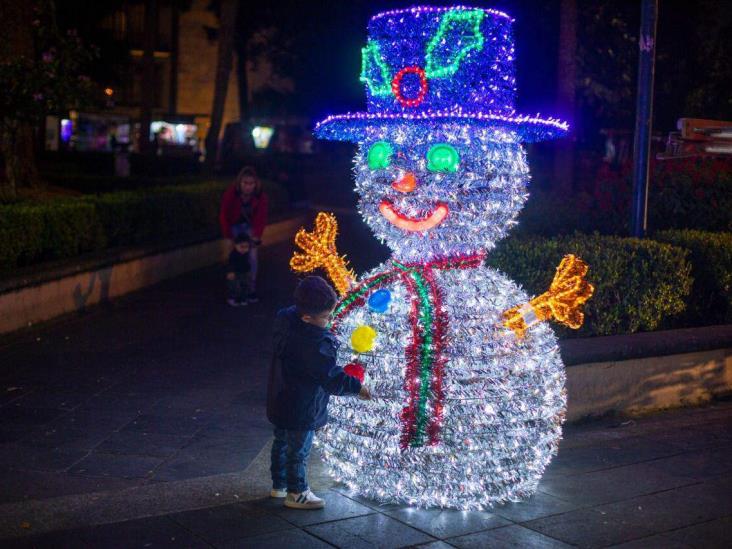 ¡Ya huele a Navidad! Instalan pino y adornos luminosos en Xalapa