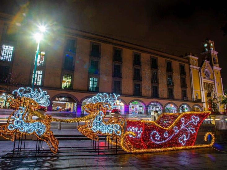 ¡Ya huele a Navidad! Instalan pino y adornos luminosos en Xalapa